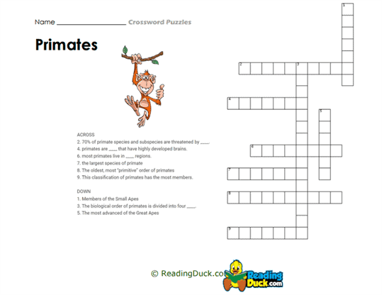 Primates Puzzle Worksheet