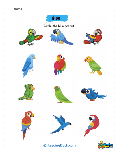 Parrot Search Worksheet
