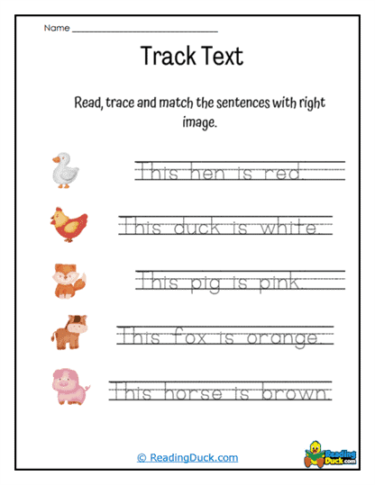 Track Colors Worksheet