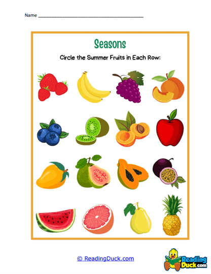Summer Fruits Worksheet