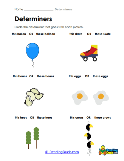 Singular or Plural Worksheet