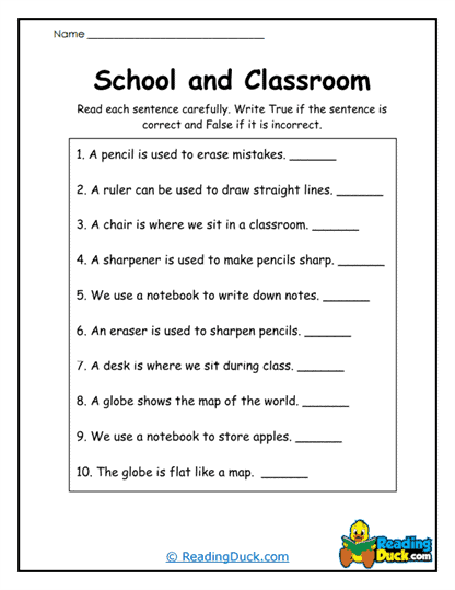 True or False Fun Worksheet