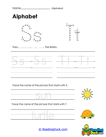 Sunny Turtles Worksheet