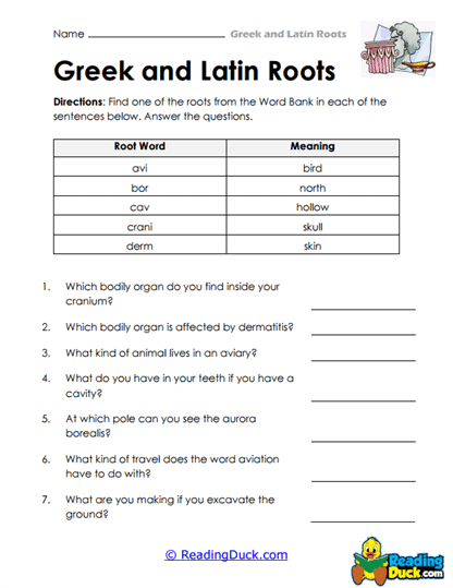 Root Matching Worksheet