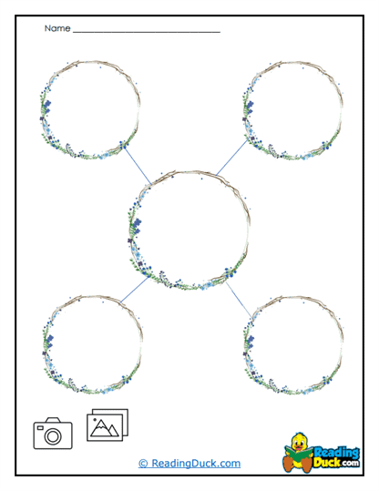 Nature Web Worksheet