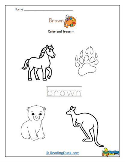 Trace Brown Worksheet