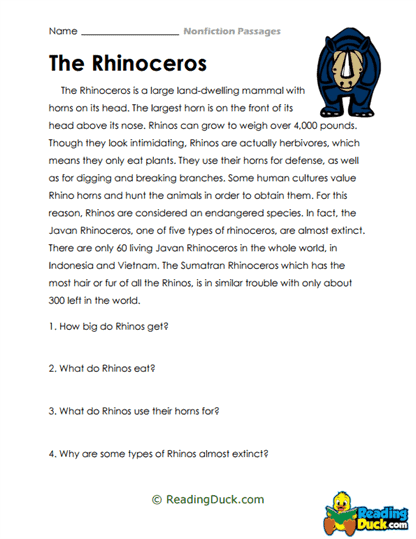 Rhinoceros Facts Worksheet
