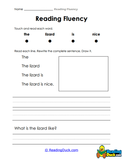 Nice Lizard Worksheet