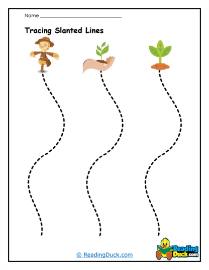 Wavy Plants Worksheet