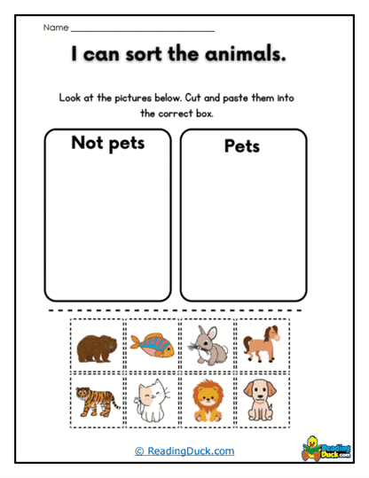 Pet Picker Worksheet