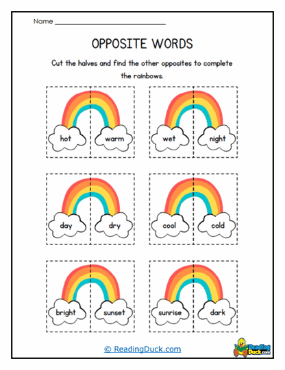 Rainbow Opposites Worksheet