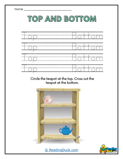 Tea Placement Worksheet
