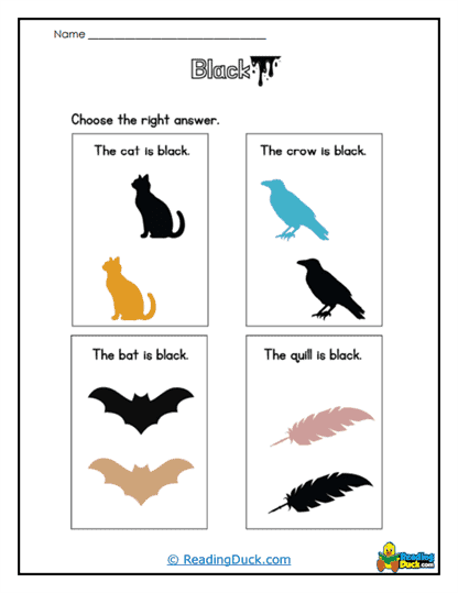 Right Answer Worksheet