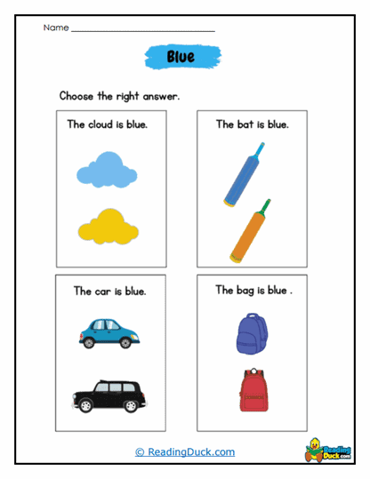 Right Choice Worksheet