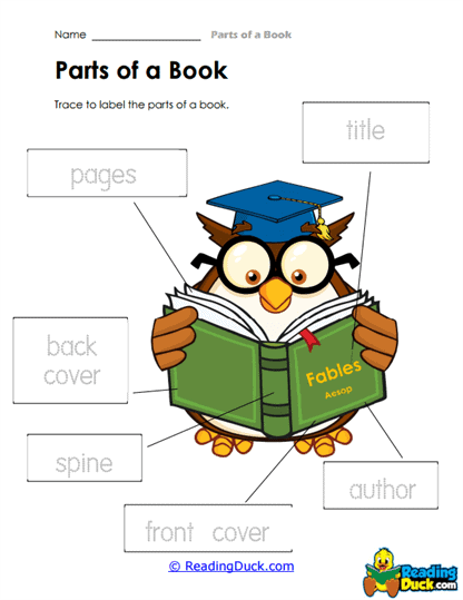 Labeling Owl Worksheet