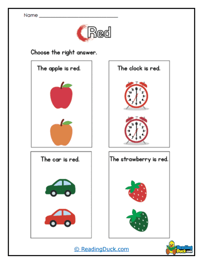 Right Choice Worksheet