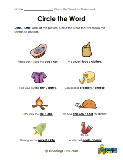 Visual Vocab Worksheet