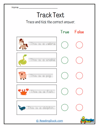True or False Worksheet