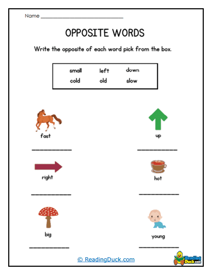 Pick the Opposite Worksheet