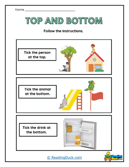 Tick Task Worksheet