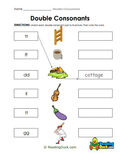 Match & Write Worksheet