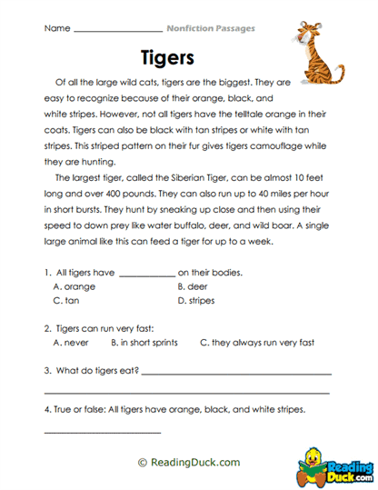 Tiger Traits Worksheet