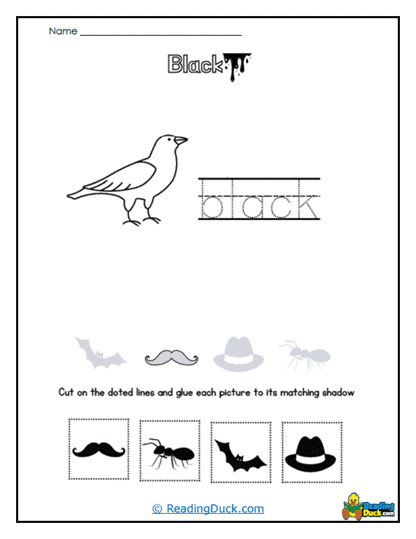 Shadow Match Worksheet