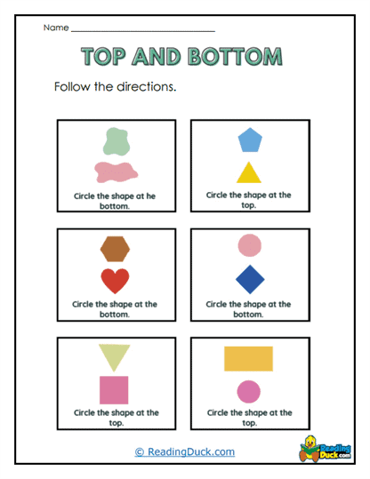 Shape Circle Worksheet