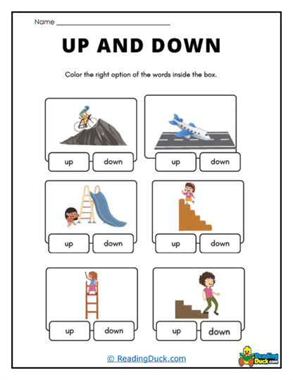 Slide Selector Worksheet