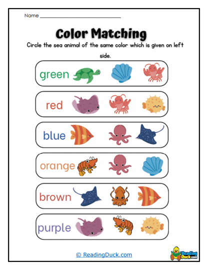 Ocean Colors Worksheet