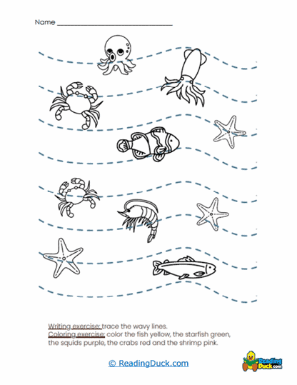 Ocean Waves Worksheet