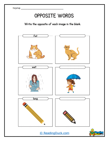 Opposite Pets Worksheet