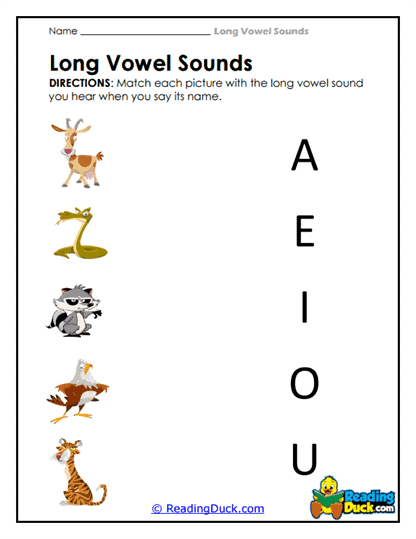Zoo Sounds Worksheet
