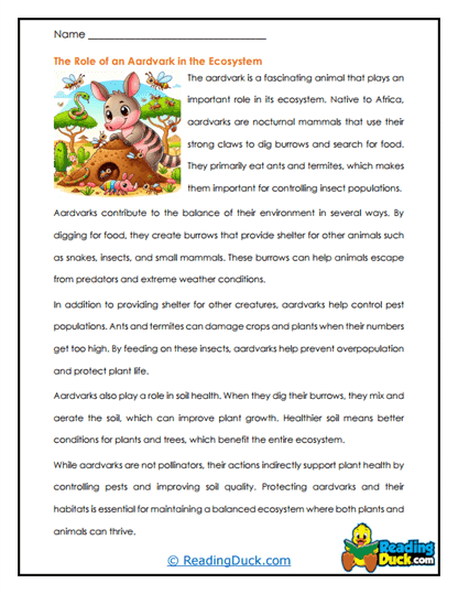 The Role of an Aardvark in the Ecosystem Worksheet