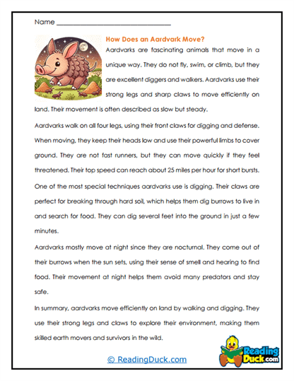 Aardvark Adventures Worksheet