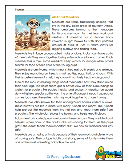 Curious Companions Worksheet