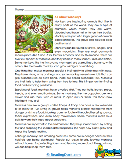 Marvelous Monkeys Worksheet