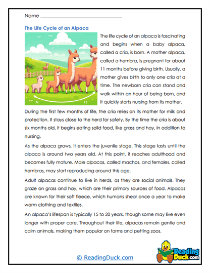 Alpaca Journey Worksheet