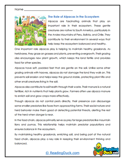 Eco Helpers Worksheet