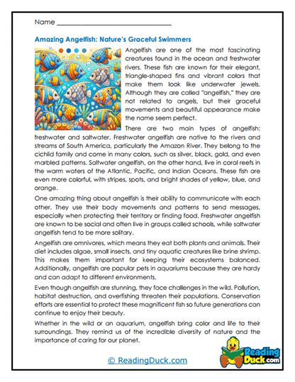 Angelfish Reading Comprehension Worksheets