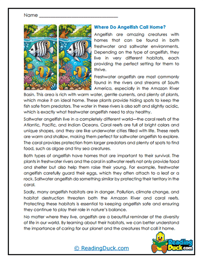 River or Reef Worksheet
