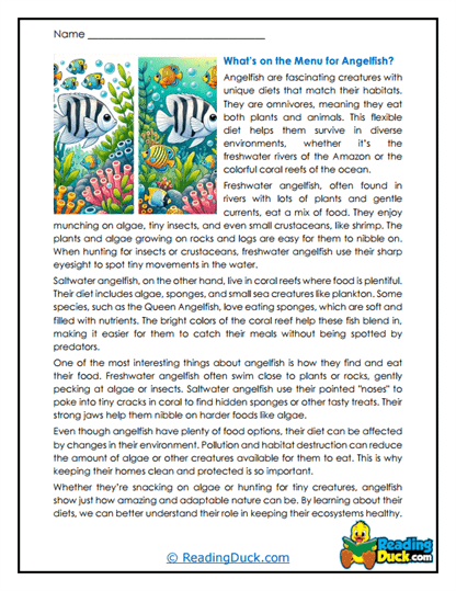 Reef Menu Worksheet