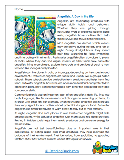 Daily Rhythms Worksheet