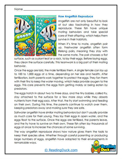 Egg Guardians Worksheet