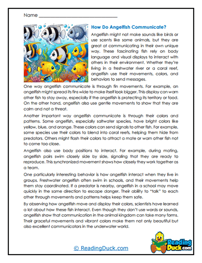 Color Signals Worksheet