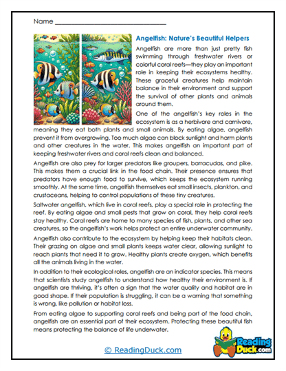 Reef Helpers Worksheet