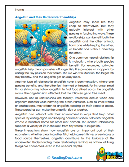 Underwater Connections Worksheet