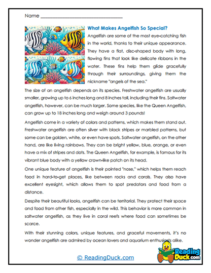 Colorful Features Worksheet