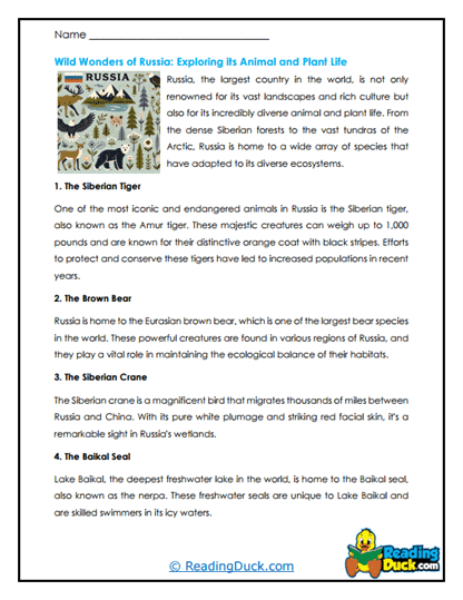 Wild Russia Worksheet