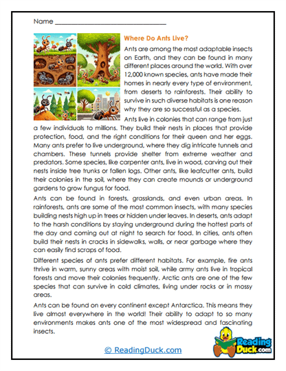 Habitat Hunters Worksheet